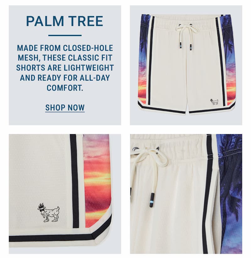Shop Palm Tree Mesh Shorts