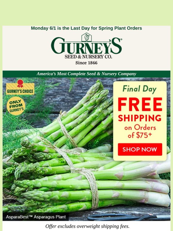 FREE SHIPPING on spring greenhouse surplus!