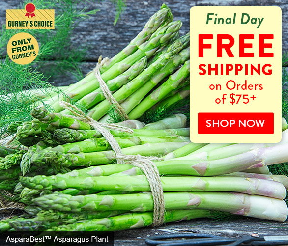 Free Shipping on Orders over $75