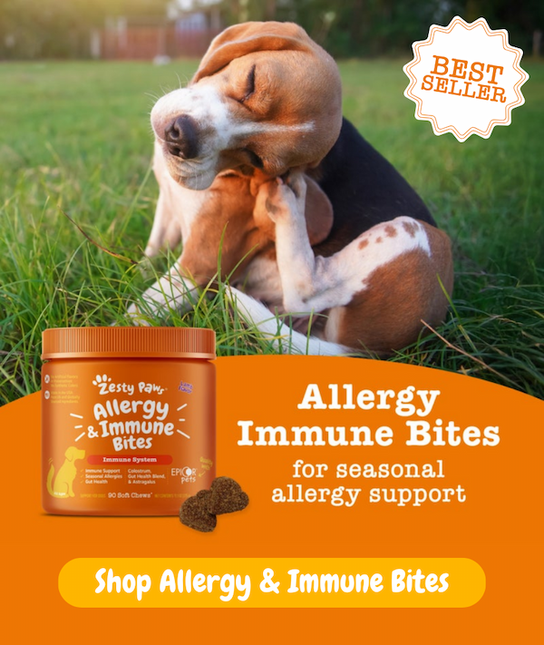Best Seller! Allergy & Immune Bites for seasonal allergy support. Shop Allergy & Immune Bites.
