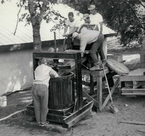 STONY HILL VINEYARD · ARCHIVAL