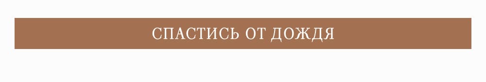 СПАСТИСЬ ОТ ДОЖДЯ