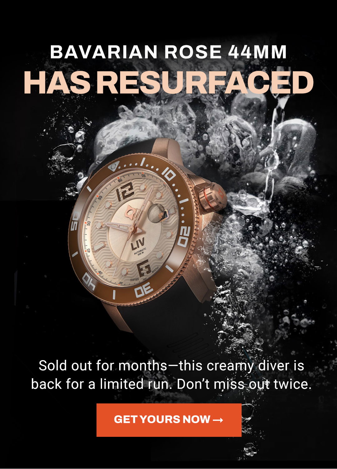 The Bavarian Rose 44mm is back!