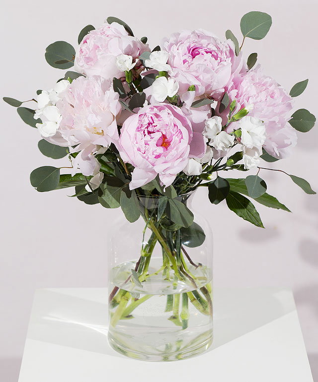 Simply Peonies
