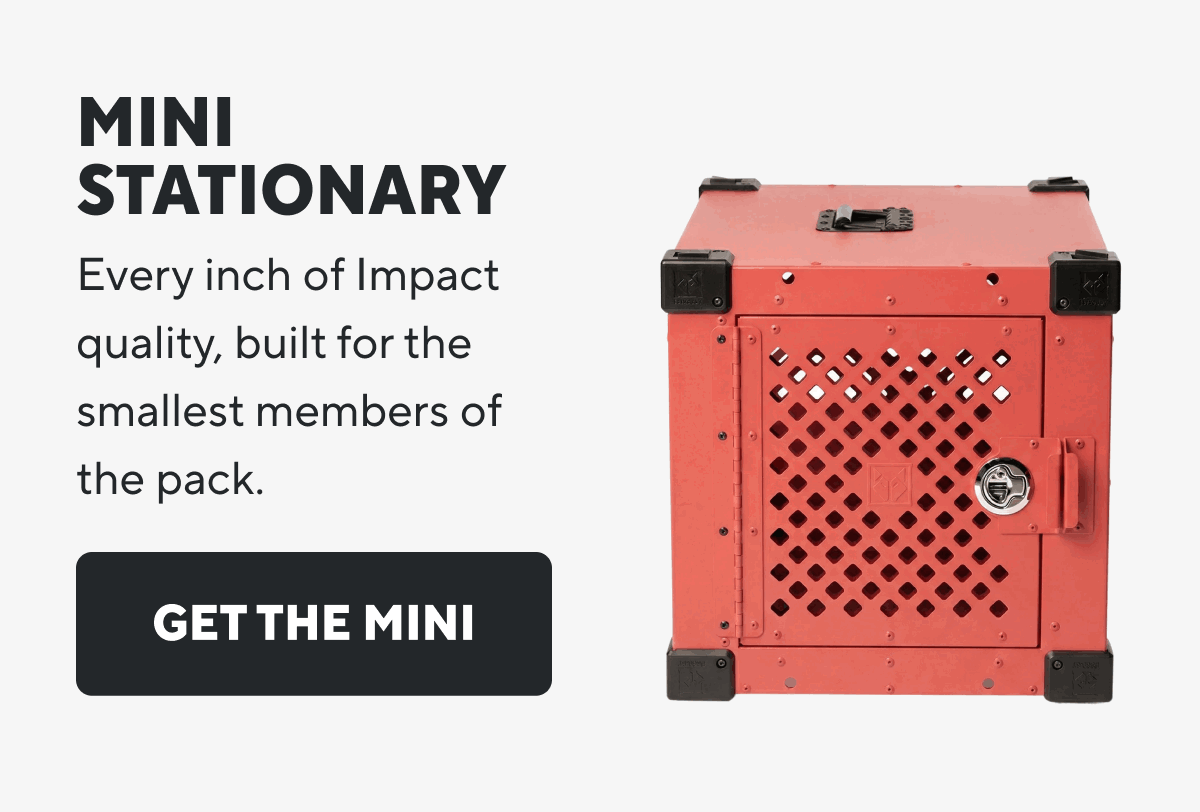 Mini Stationary | Get The Mini