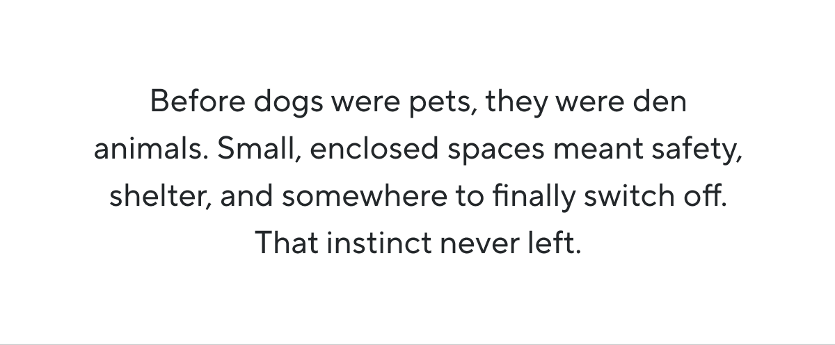 Before dogs were pets, they were den animals. Small, enclosed spaces meant safety, shelter, and somewhere to finally switch off. That instinct never left.