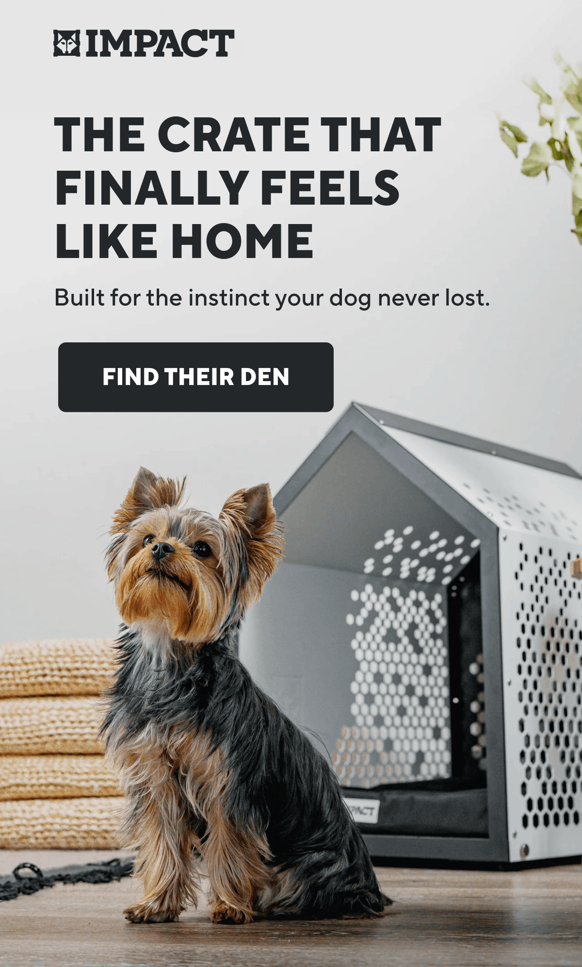 The Crate That Finally Feels Like Home | Find Their Den