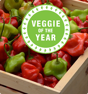 Veggie of the year, peppers in a box.