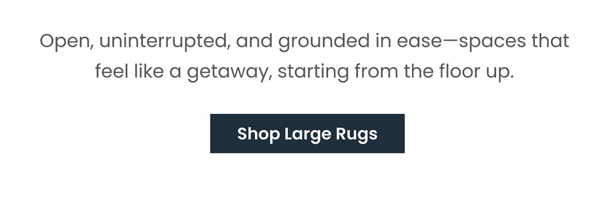 Shop Large Rugs