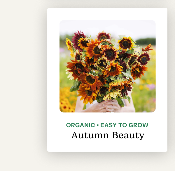 Autumn Beauty – organic; easy to grow