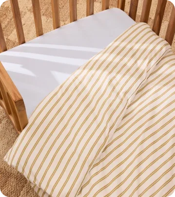 Shop Cot