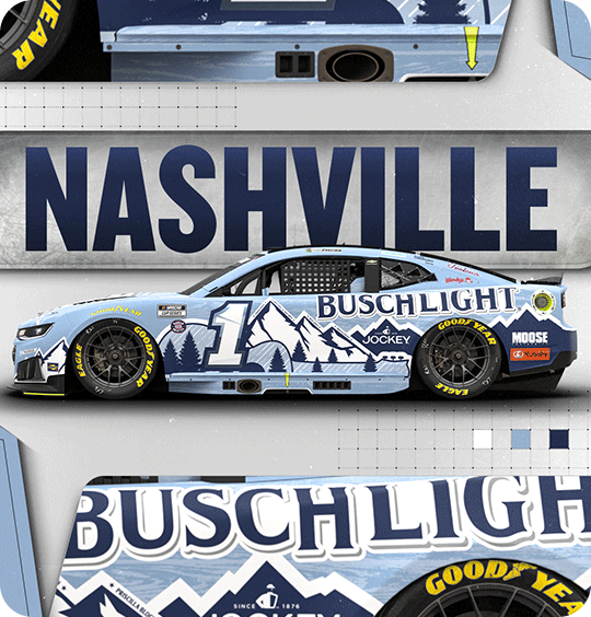 Nashville Paint Scheme Ross Chastain Busch Light