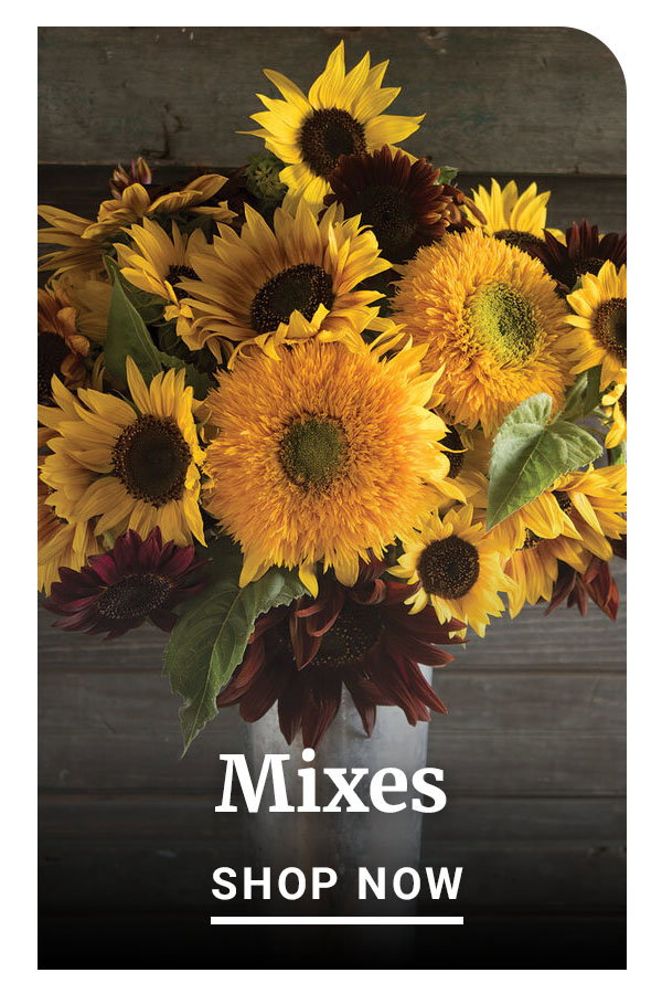 Mixes