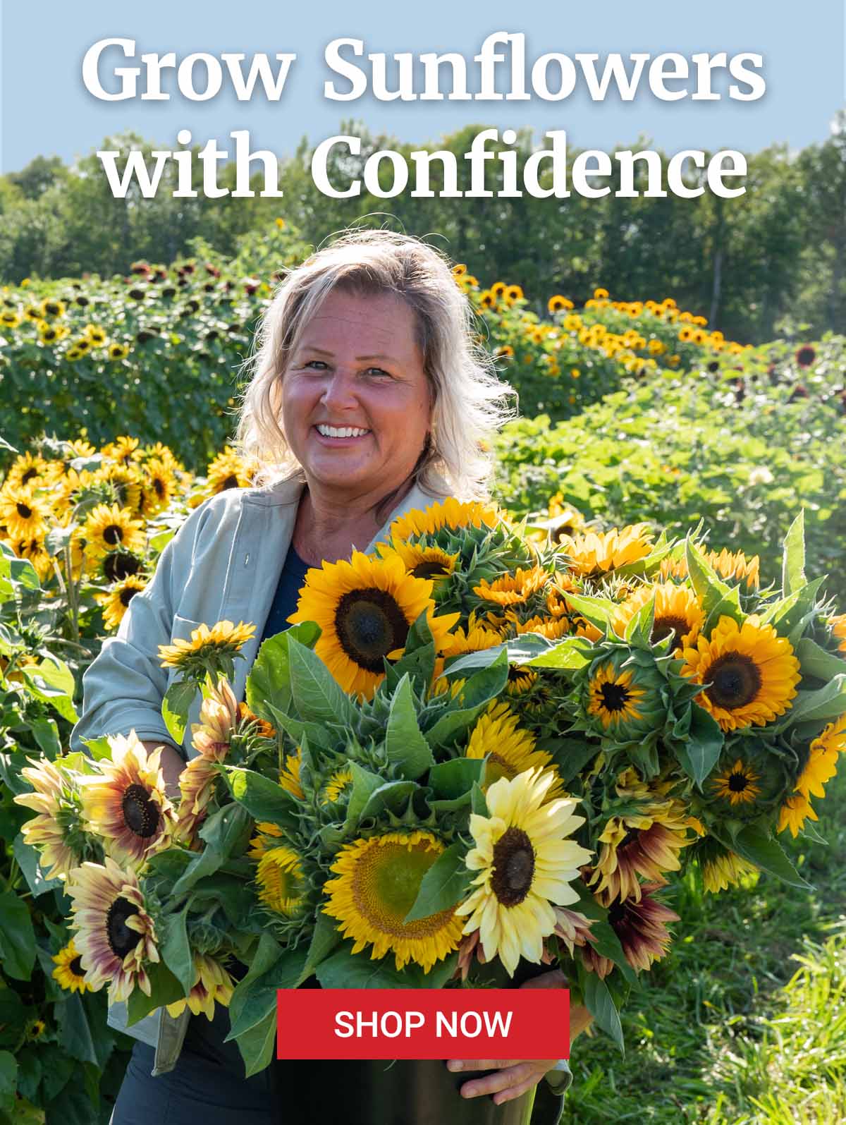 Grow Sunflowers with Confidence. Shop Now