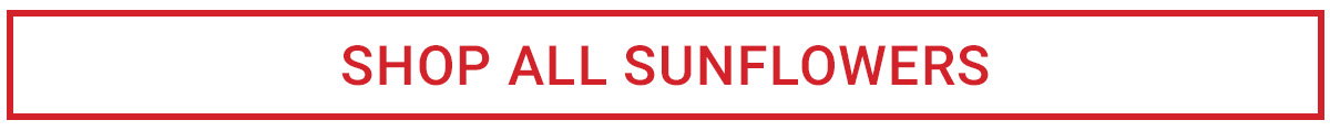 SHOP ALL SUNFLOWERS