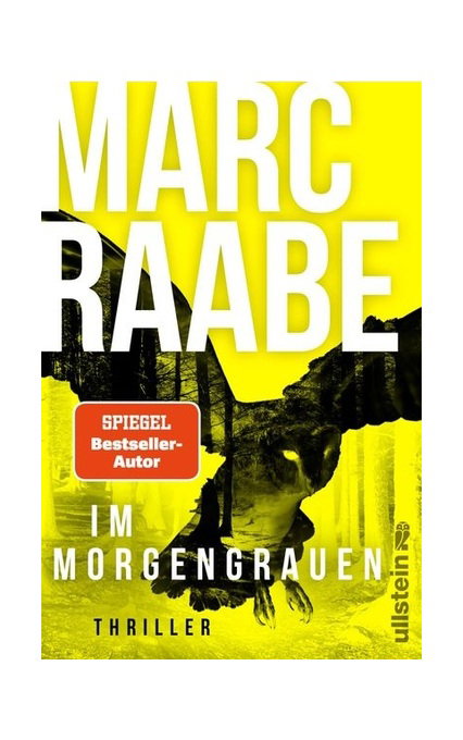 Im Morgengrauen