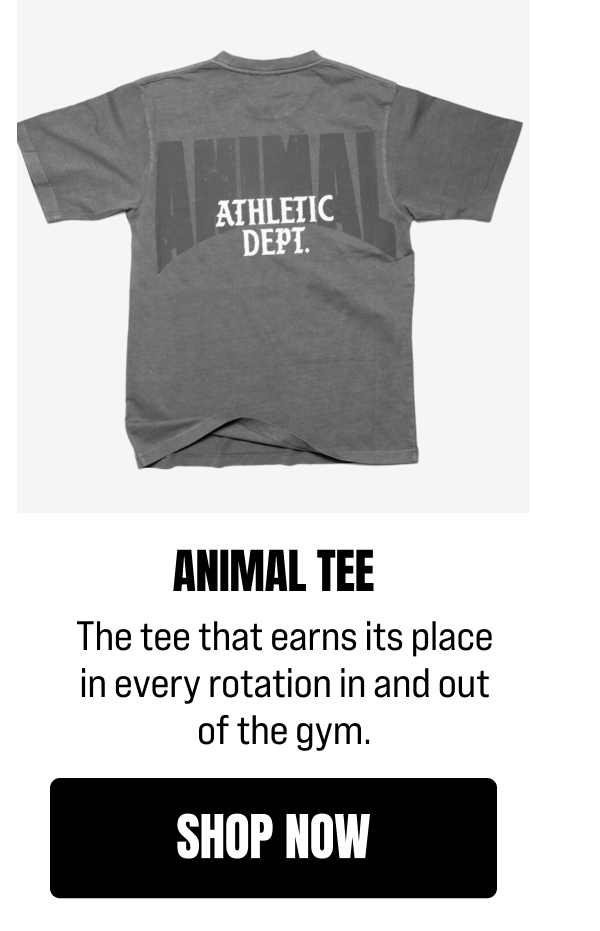 ANIMAL TEE 