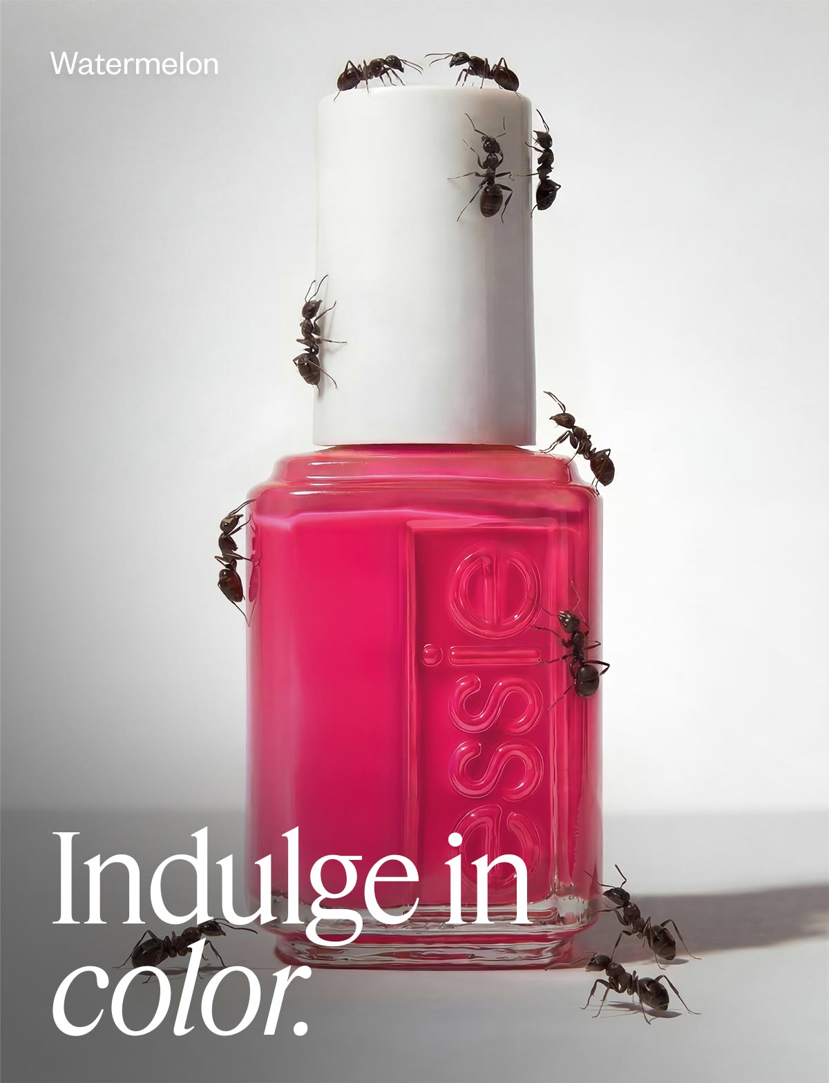 Indulge in color.