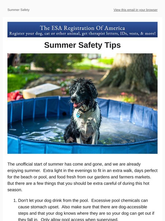 Top 5 Summer Safety Tips