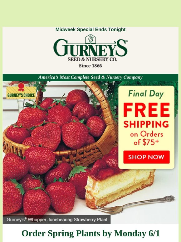 Last chance for FREE SHIPPING this season!