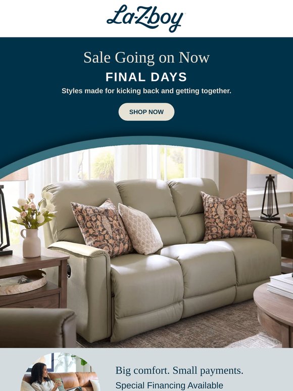 FINAL DAYS TO SAVE