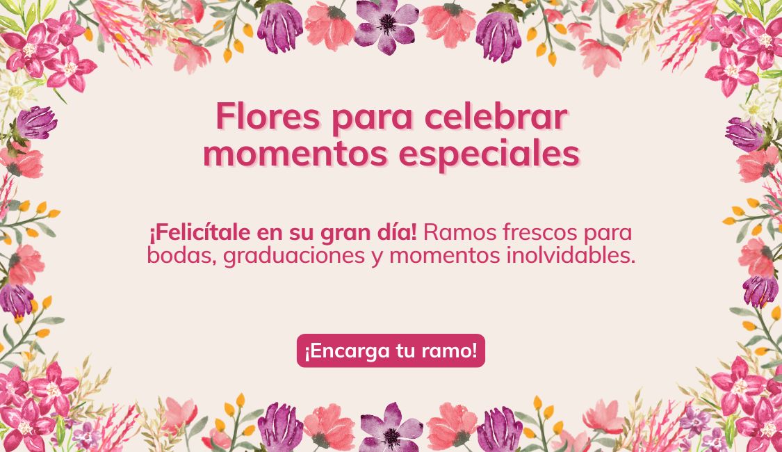 cabecera-celebraciones
