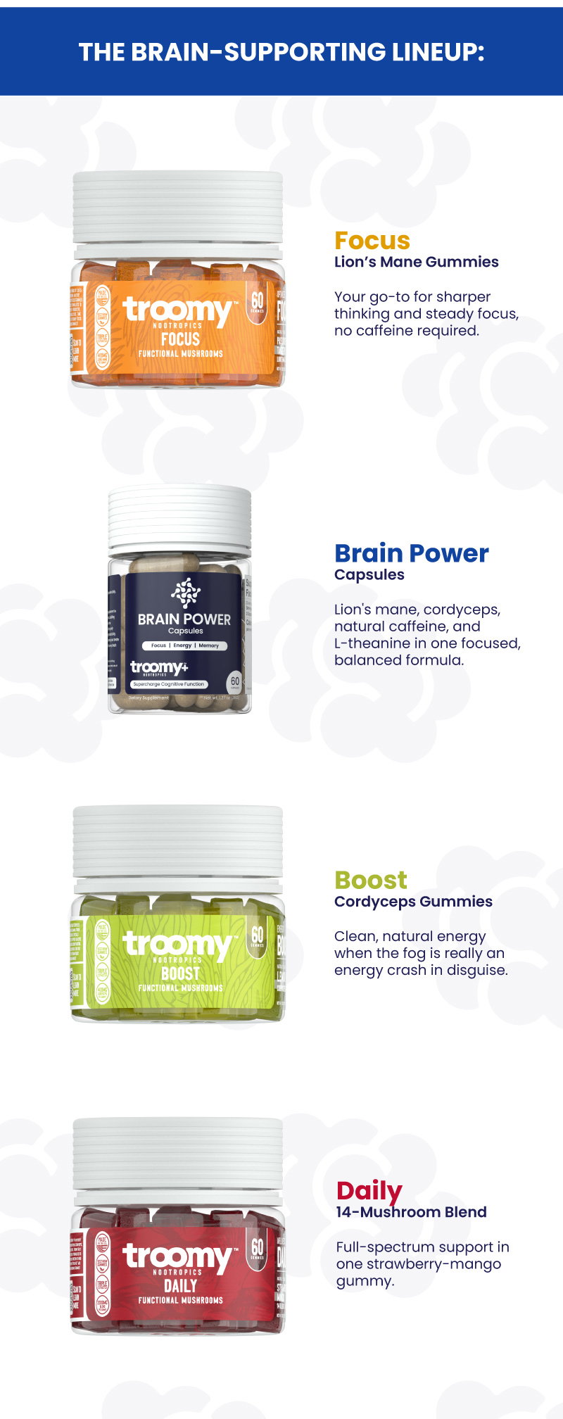Brain Fog - Cognitive Function - Lion's Mane - Functional Mushrooms - Brain Health - Troomy Nootropics in Whittier, CA