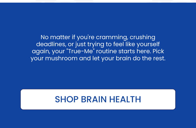 Brain Fog - Cognitive Function - Lion's Mane - Functional Mushrooms - Brain Health - Troomy Nootropics in Whittier, CA