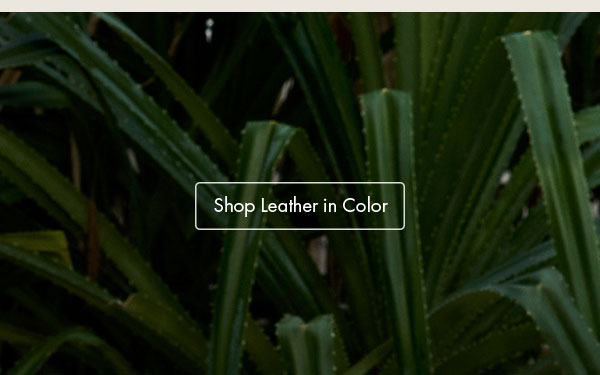 Shop Leather in Color