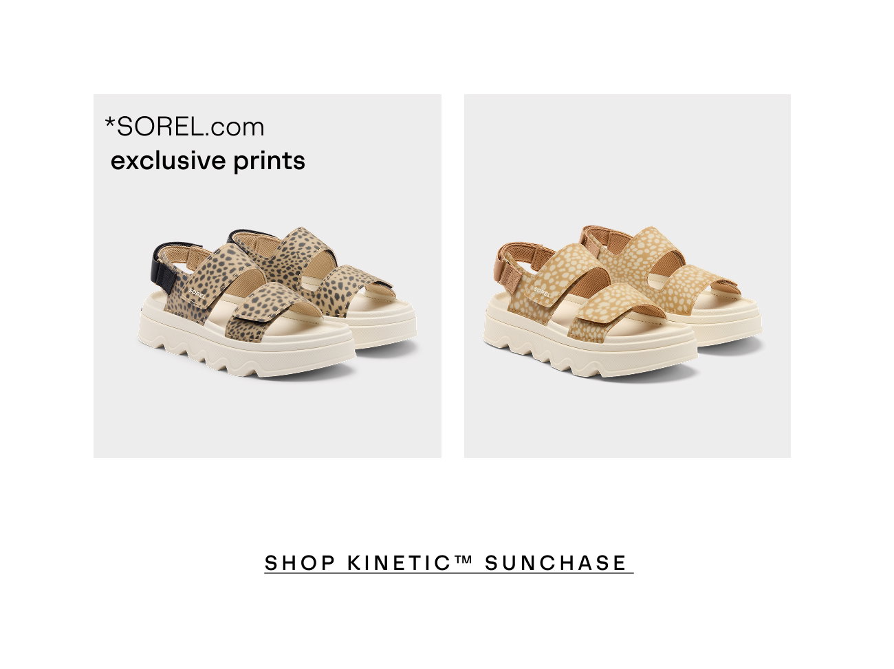 Kinetic Sunchase Shopping 