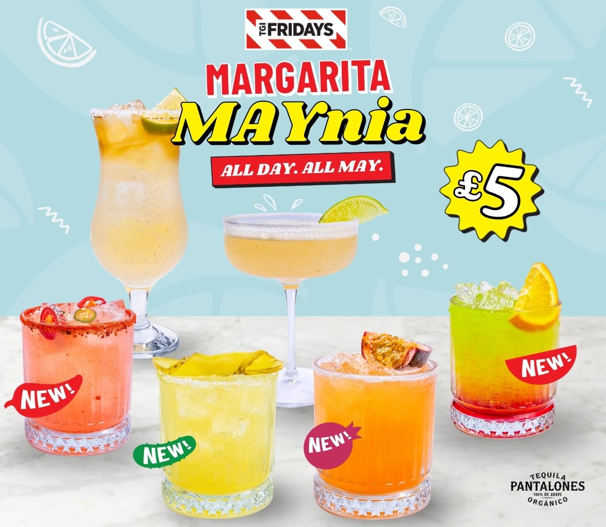 Margarita Maynia