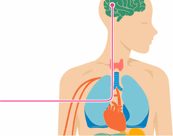 The Effects of Low Blood Sugar on Your Body