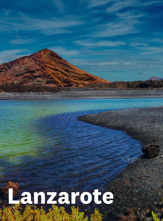 From £319 pp