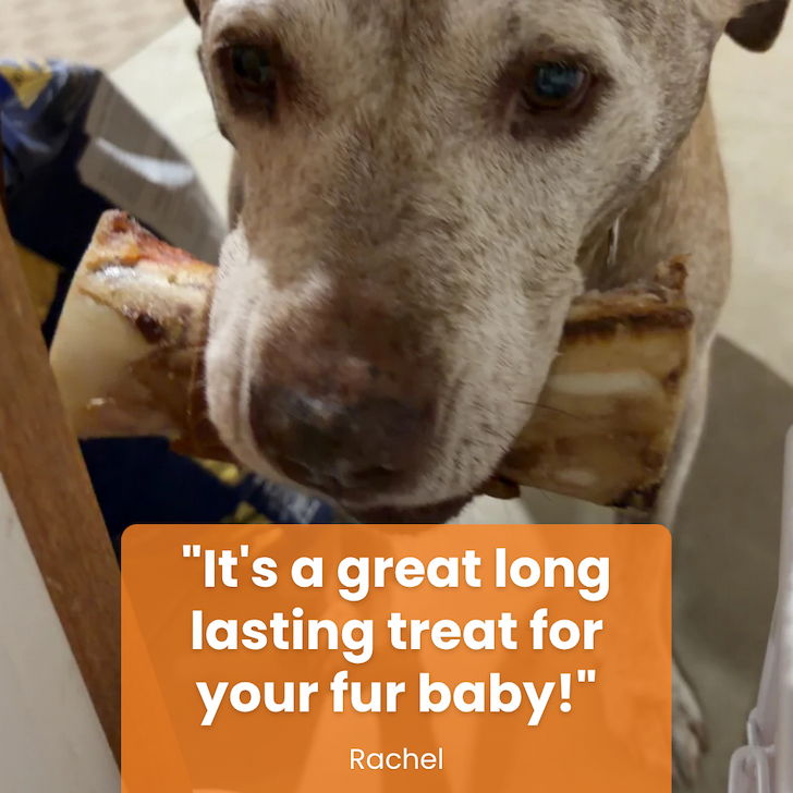 Rated DROOL-Worthy by real dog parents