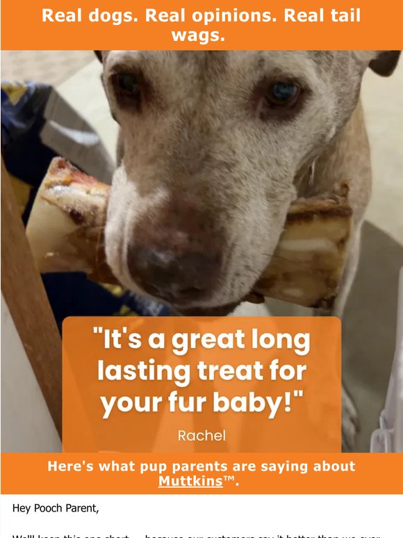 Don't take our word for it. 🐶