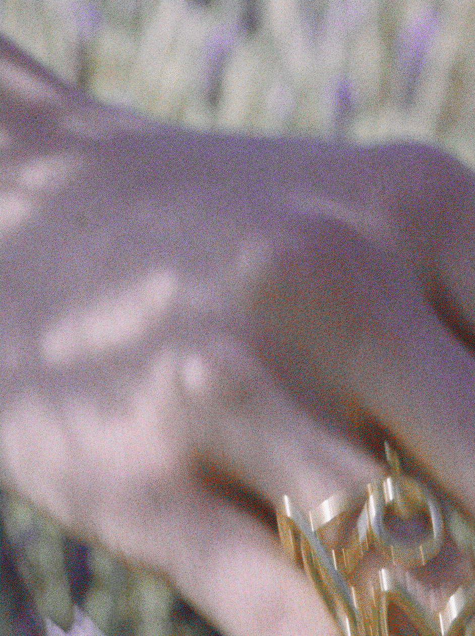 Animiertes GIF mit DOROTHEE SCHUMACHER  LOVE-Ringen in Nahaufnahme vor floraler Kulisse.