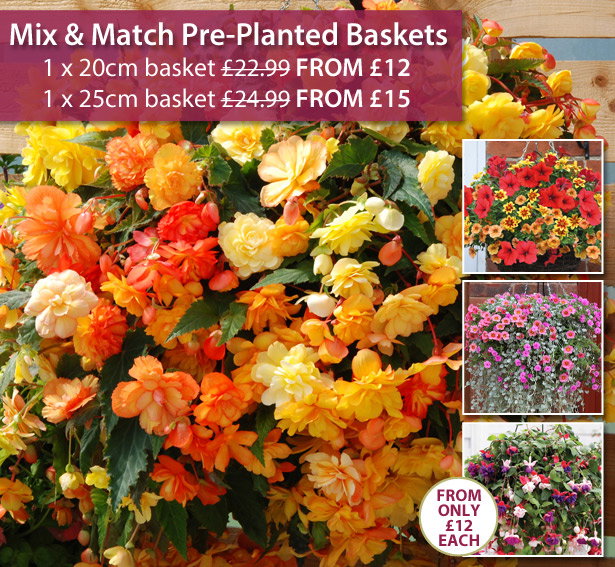 Mix & Match Baskets