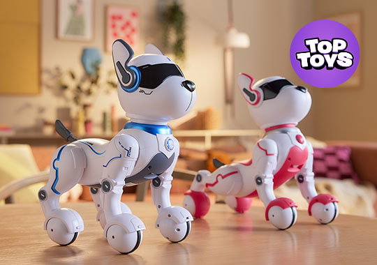 Ziggy & Zoey the Robo Dogs