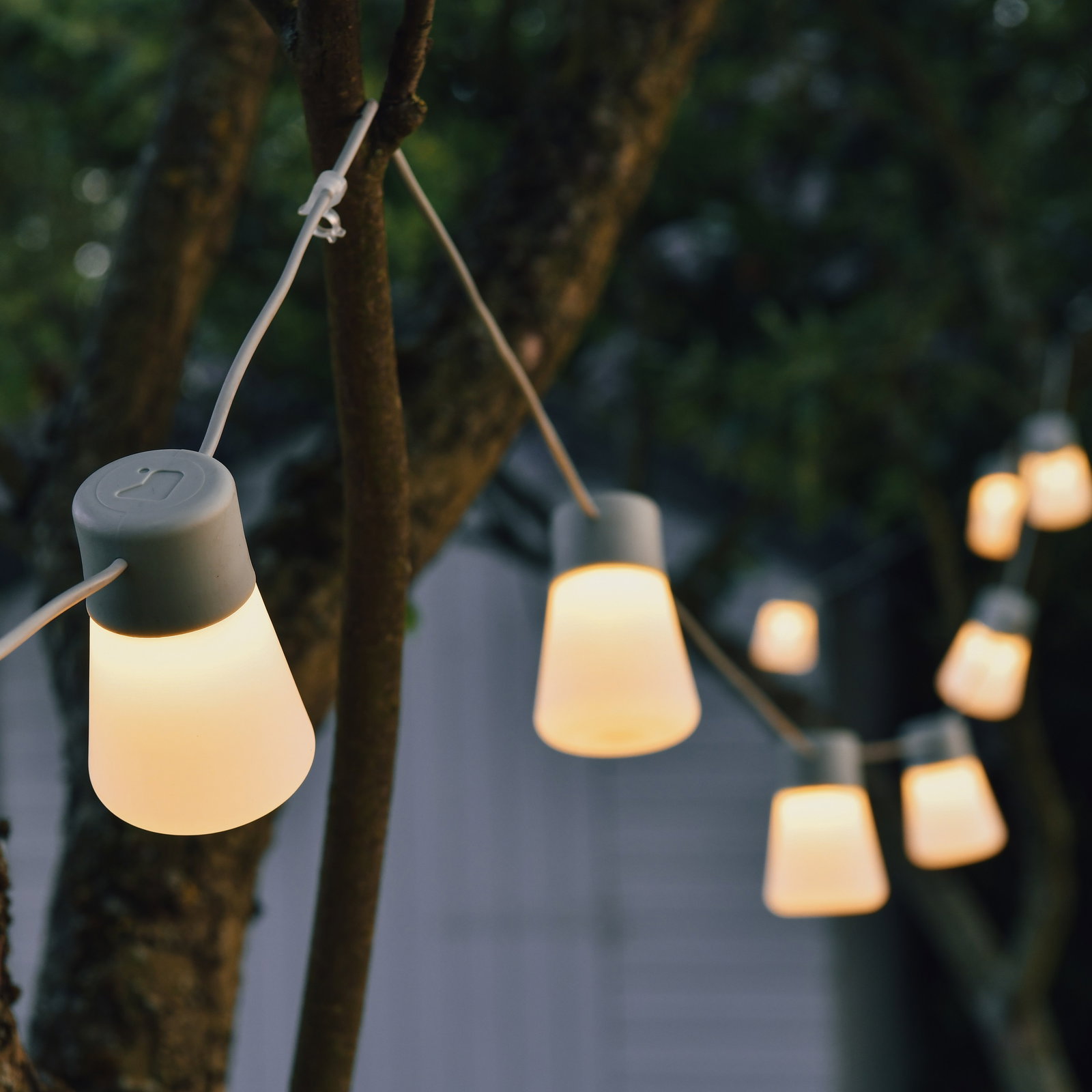 B-BULB CONNECT 