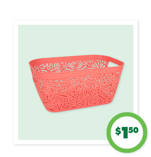 $1.50 Palm Print Baskets