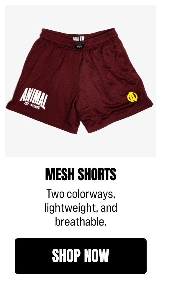 Mesh Shorts 