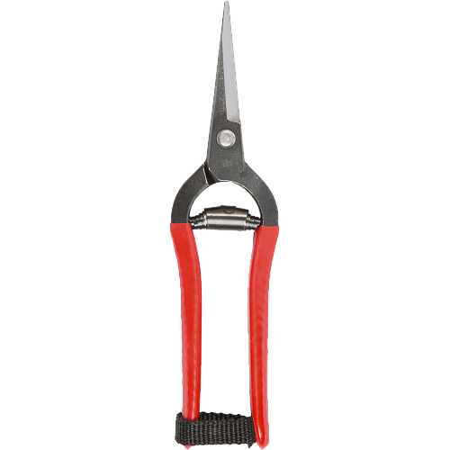 Image of Niwaki Forged Snips