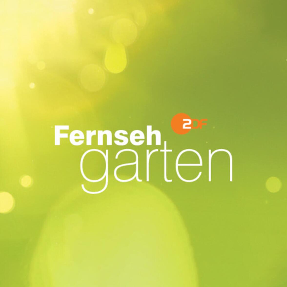 ZDF Fernsehgarten in Mainz inkl. Premium Hotel
