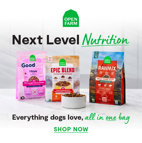 Product Ad