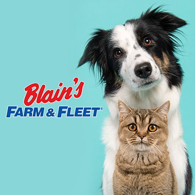 Image of dog and cat with Blain's logo