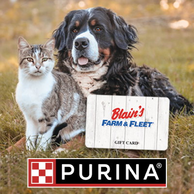 Dog and cat sitting in a field with Purina logo and Blain's gift card