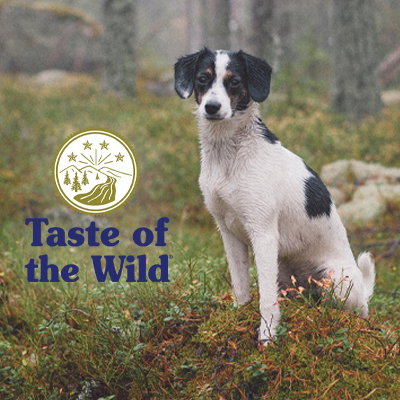Dog sitting in the woods with Taste of the Wild logo