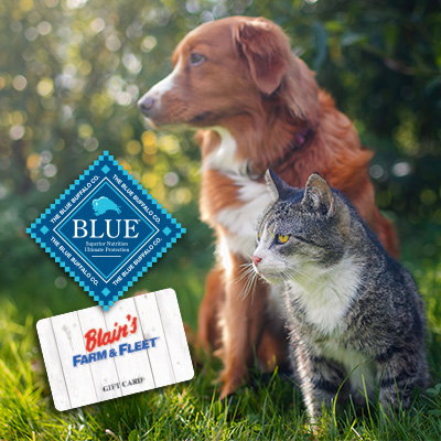 Dog and cat outdoors with Blue Buffalo logo and Blain's gift card