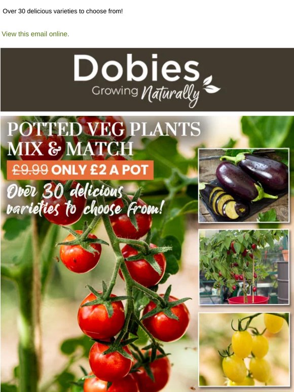 ONLY £2 A POT! Mix & Match Veg Plants!