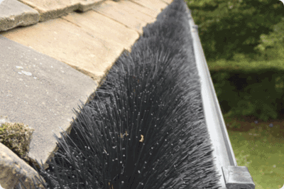 Gutter brushes 